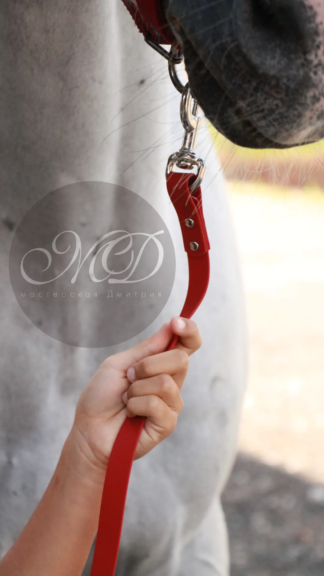 Чомбур из биотана 