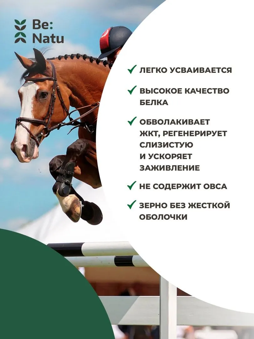 Корм Fast mash 20кг