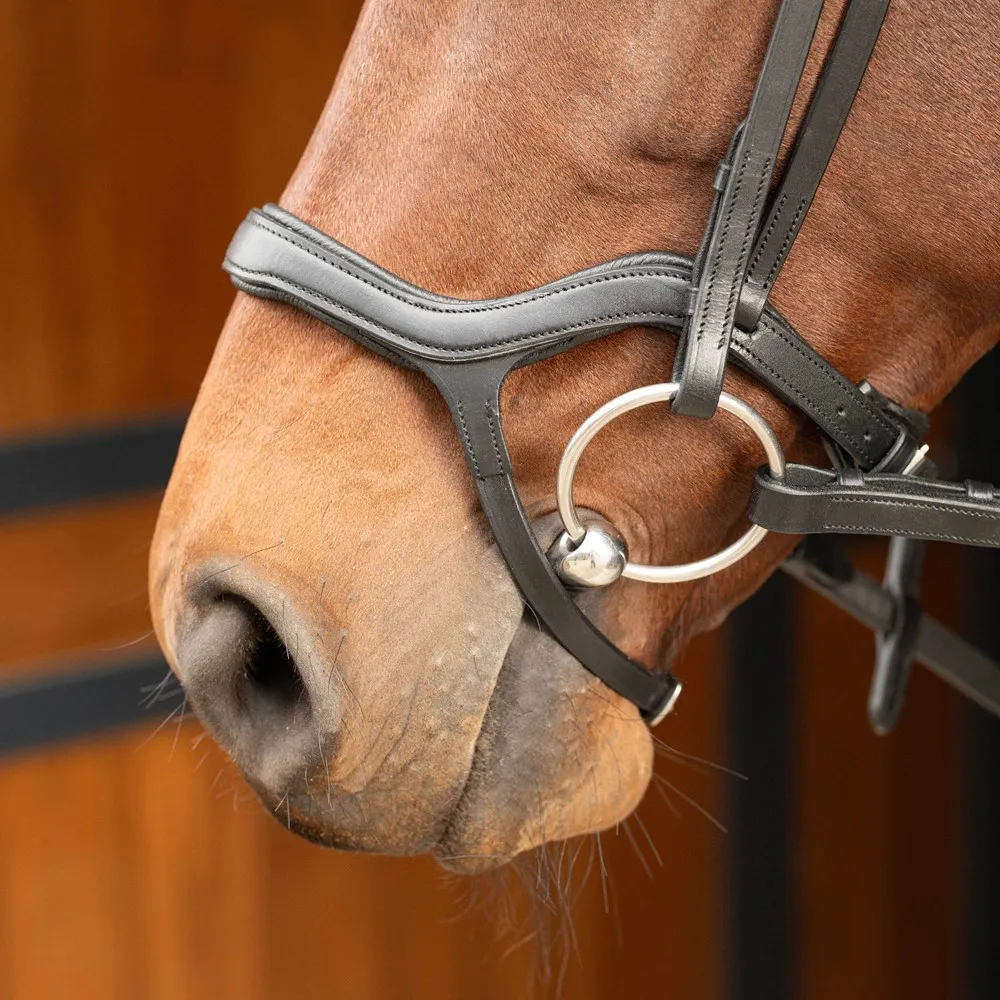 Уздечка Anatomic от Harry's Horse (Чёрный, FULL)