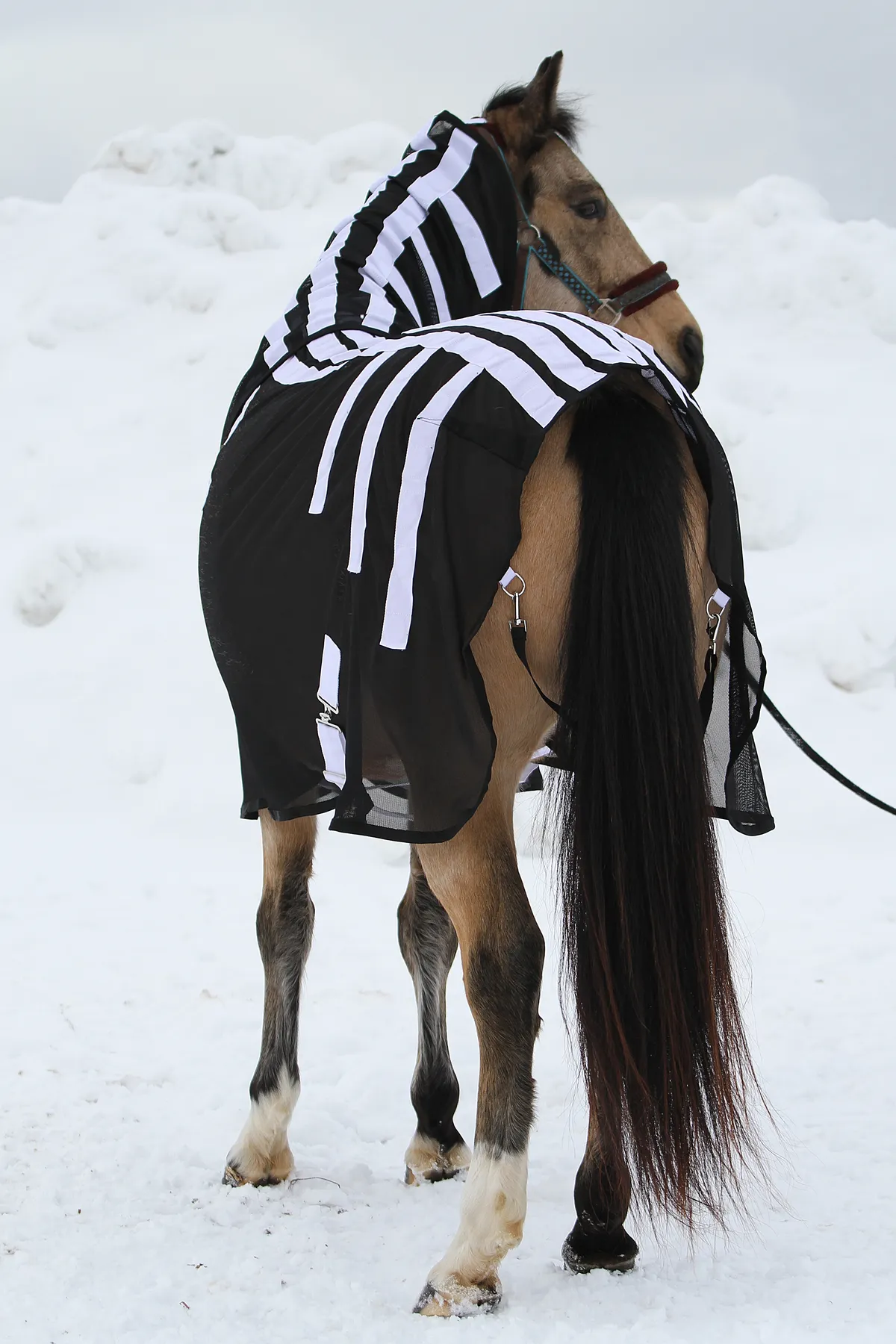 Магнитная попона для лошади, 135 размер