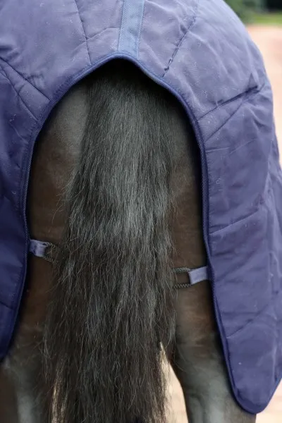 Попона "RugBe 2 в 1"