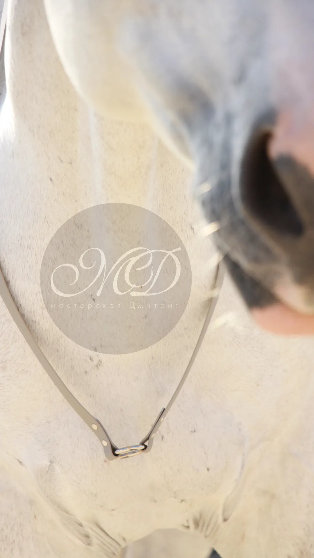 Кордео из биотана