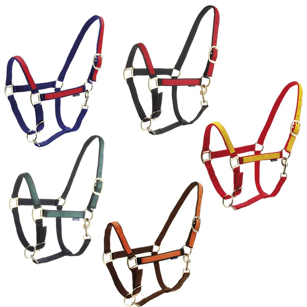 Недоуздок «Roma»