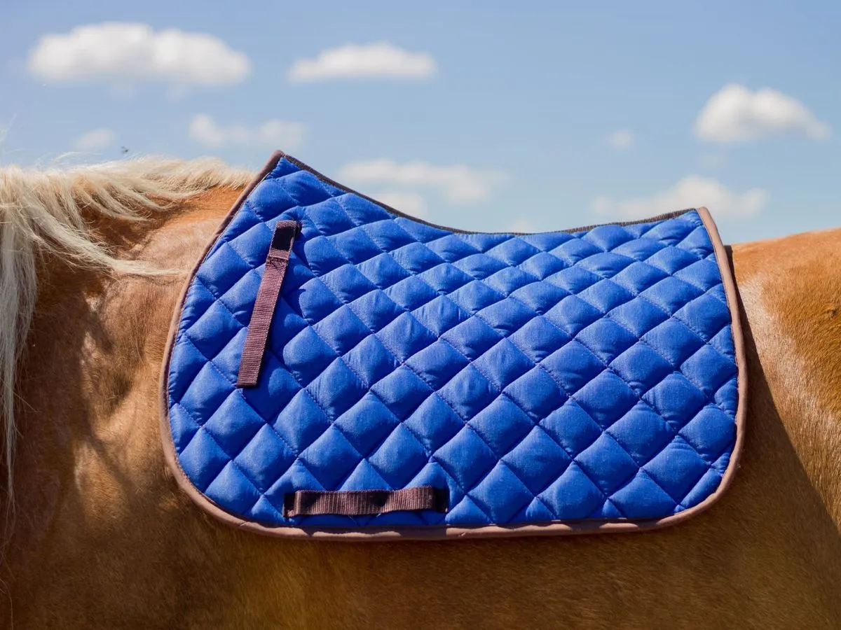 Вальтрап конкурный (синий)