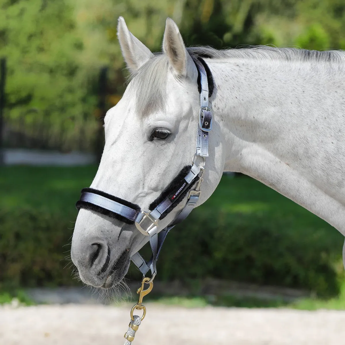 Недоуздок Horsenjoy Rainbow Fur серо-черный Pony