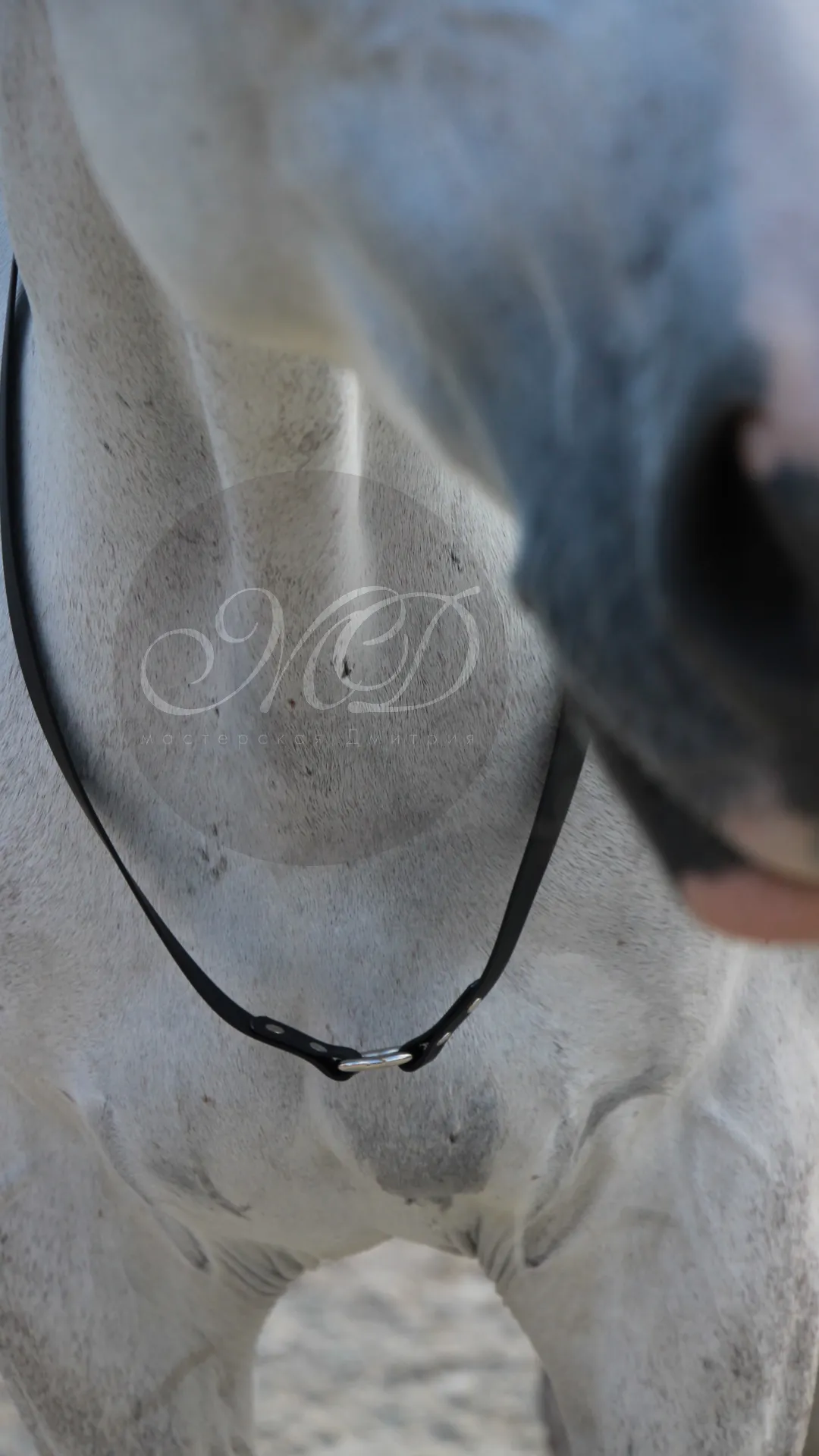 Кордео из биотана 