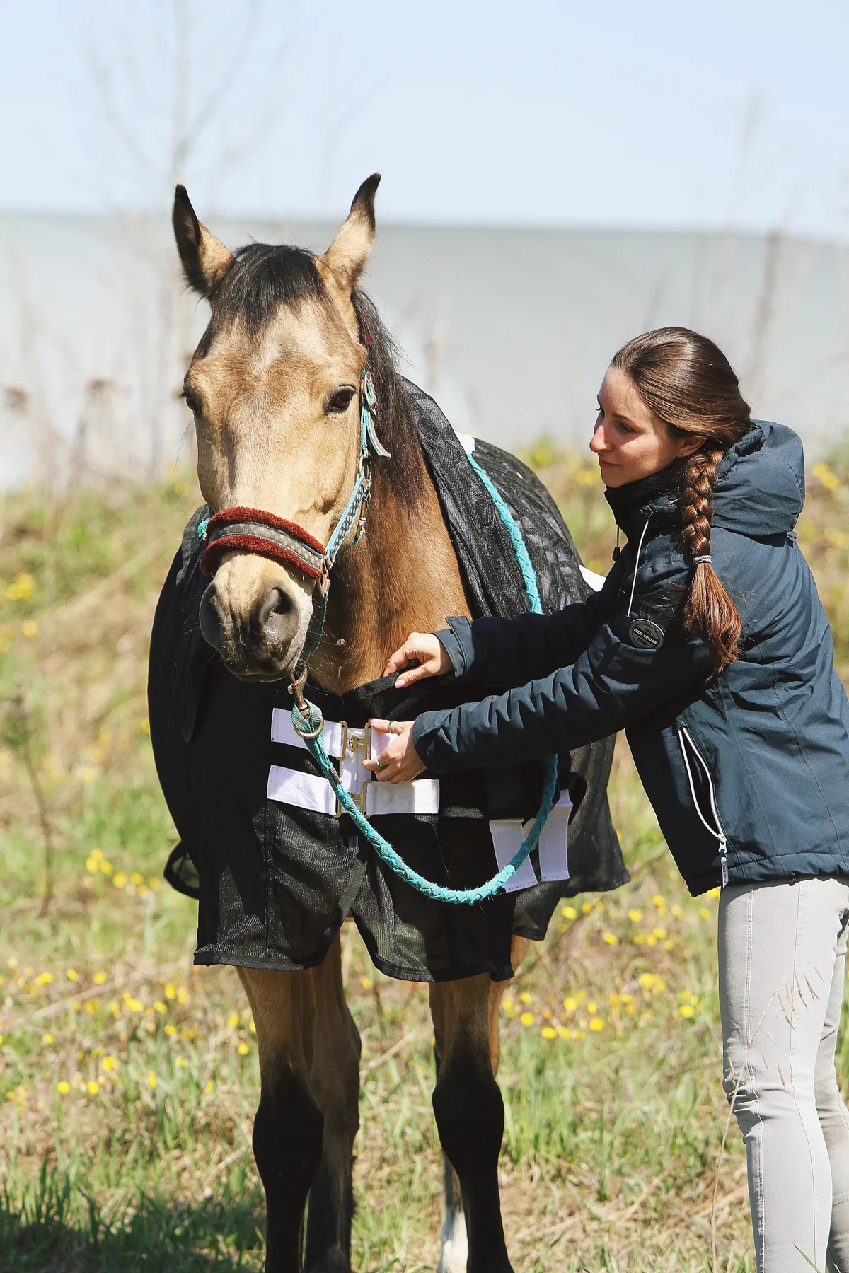 Магнитная попона для лошади, 145 размер