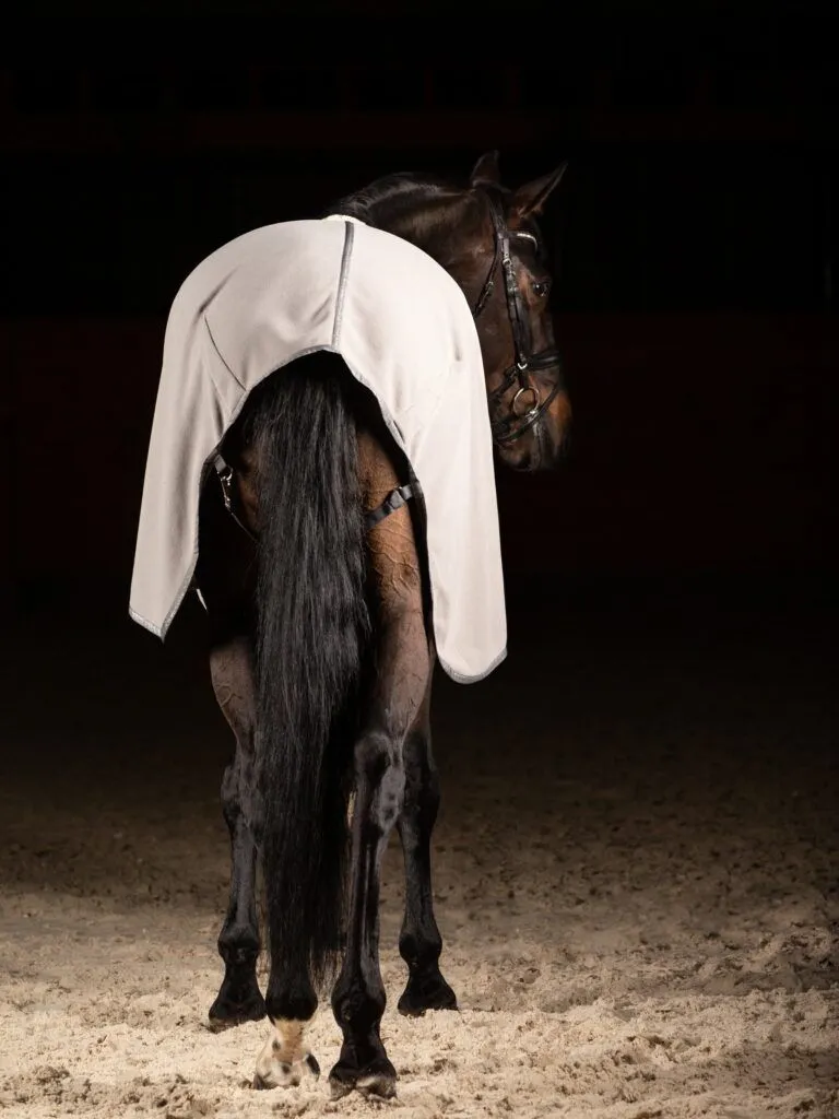 Попона флисовая Skin Logo, Серая, размер 135