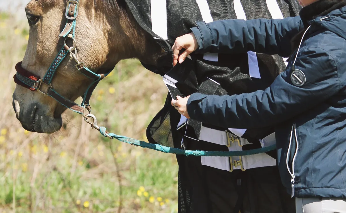 Магнитная попона для лошади, 145 размер