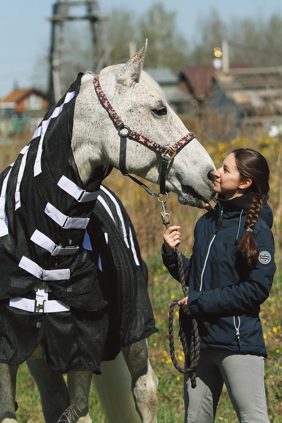 Магнитная попона для лошади, 155 размер