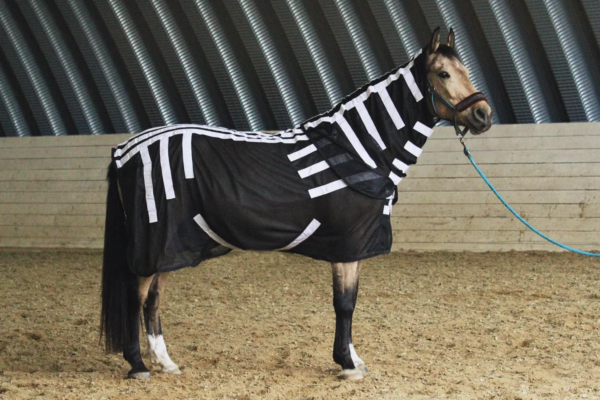 Магнитная попона для лошади, 145 размер