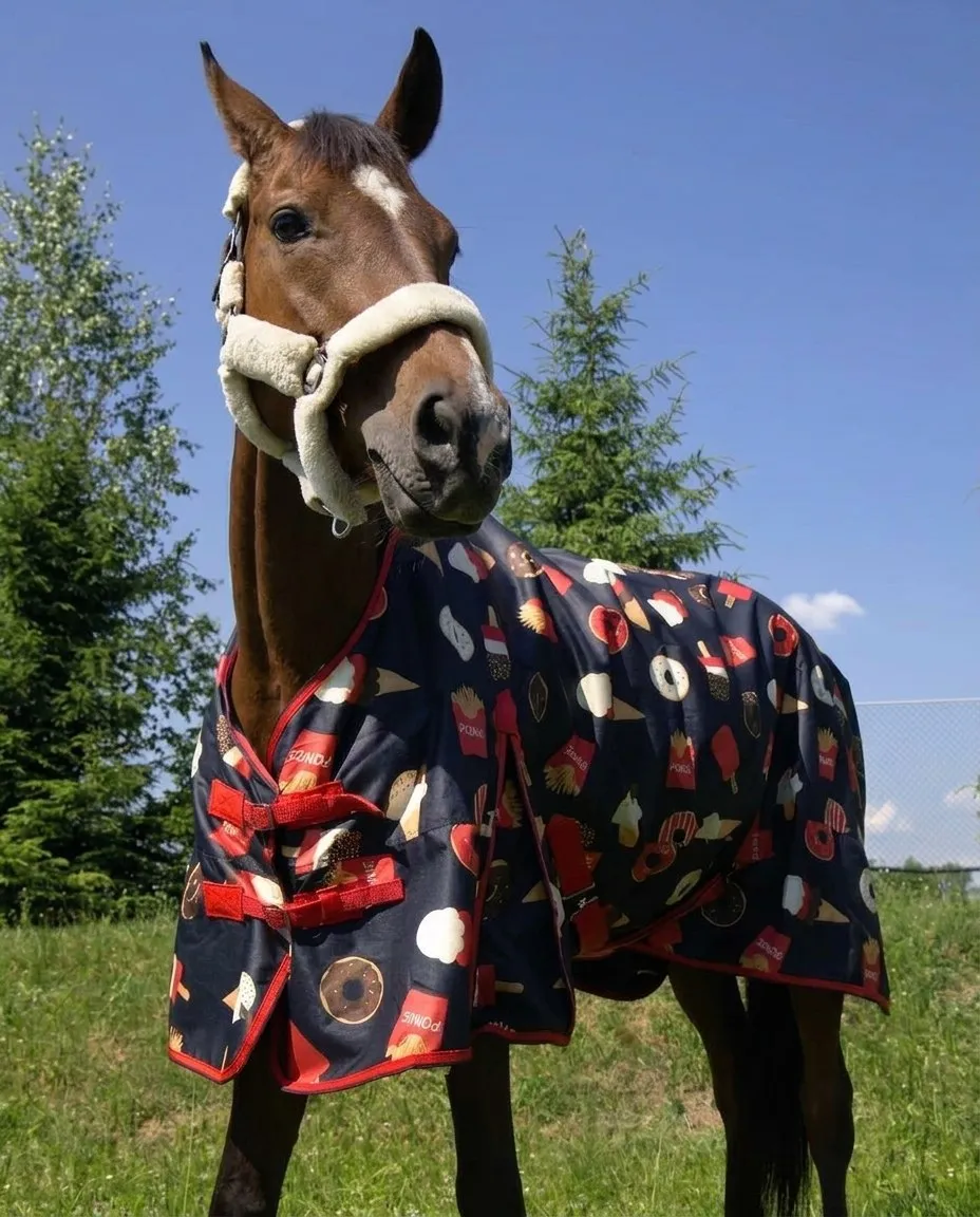 Дождевая попона Пончики 50 г HorsePlanet (95, Черный)