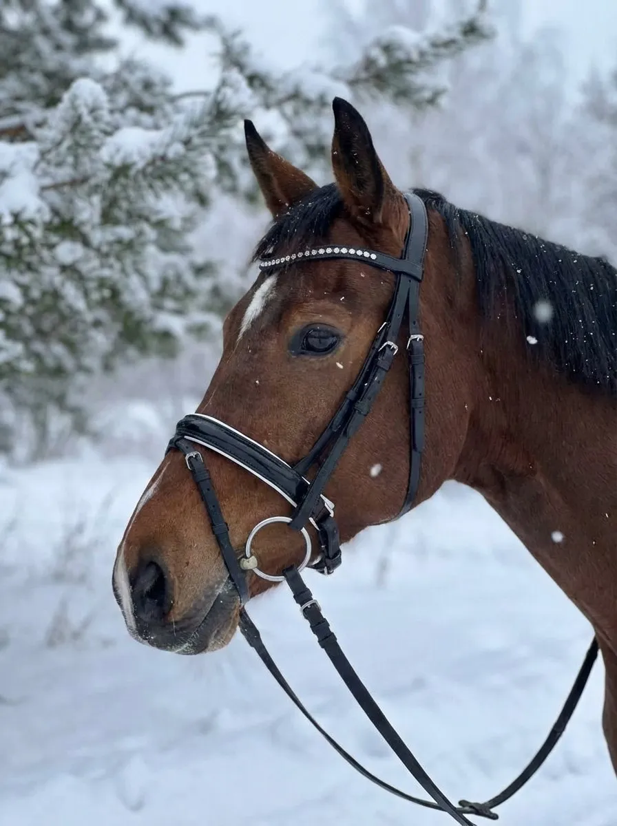 Трензельное оголовье Регина HorsePlanet (Cob)