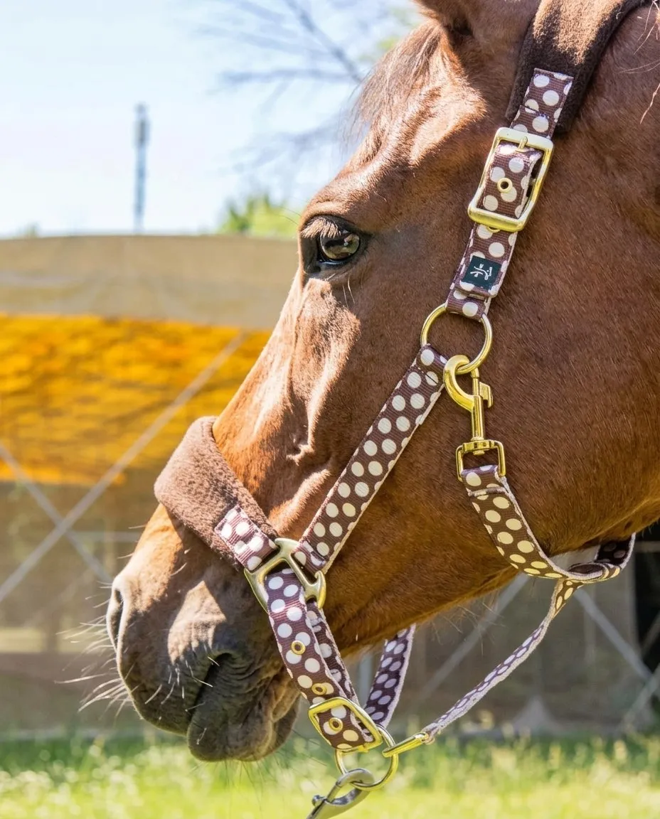 Недоуздок Мелоди HorsePlanet (Cob, Круги)