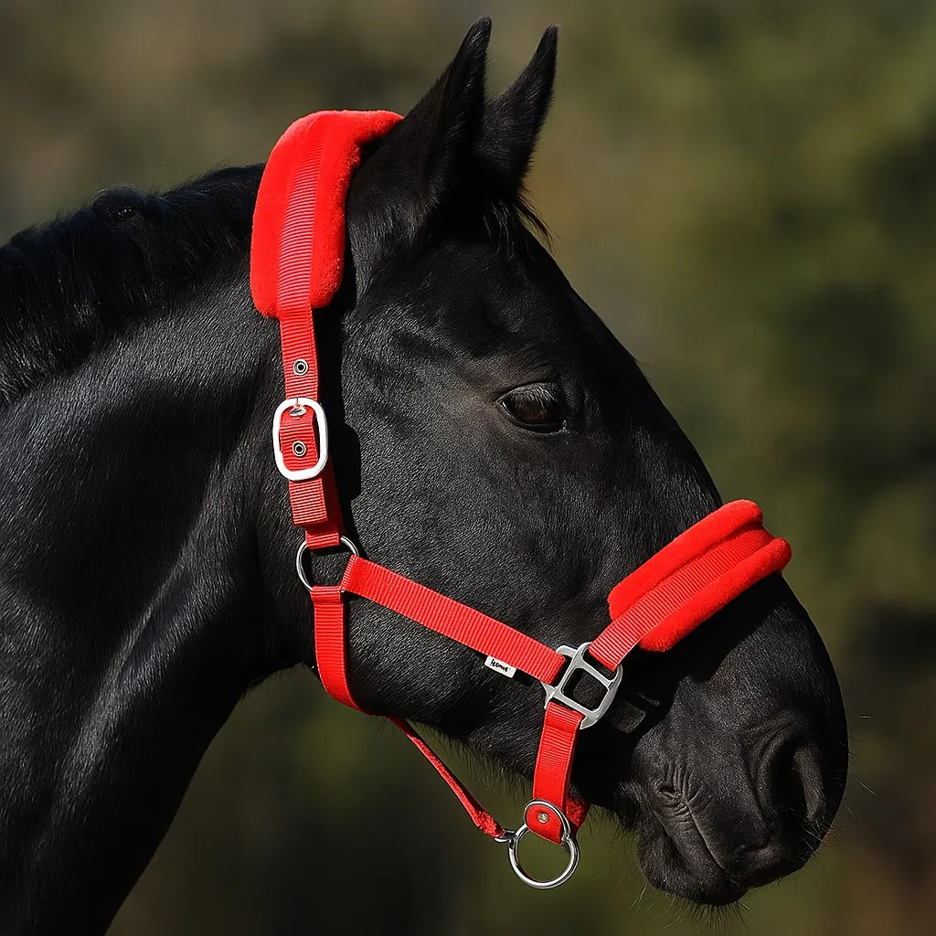 Недоуздок с мехом HorsePlanet (Full, Красный)