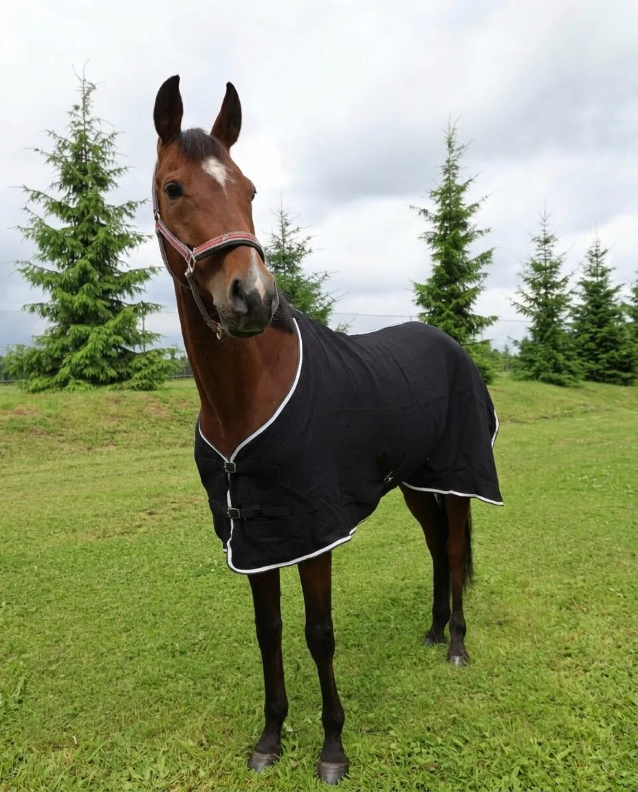 Вафельная попона HorsePlanet (105, Серый)