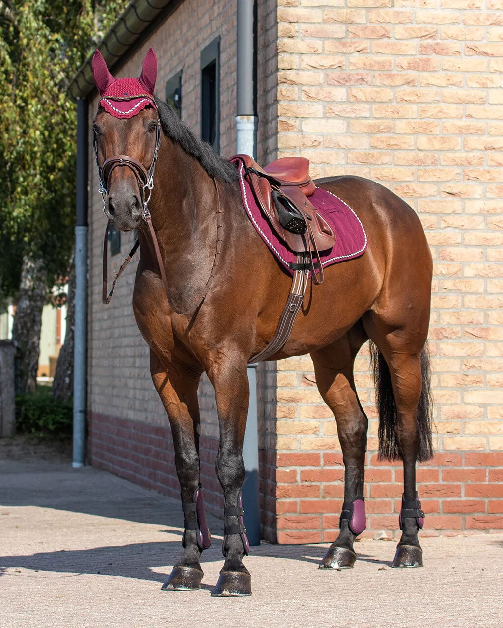 Ногавки QHP, комплект, 4 шт. (PONY, Бордовый)